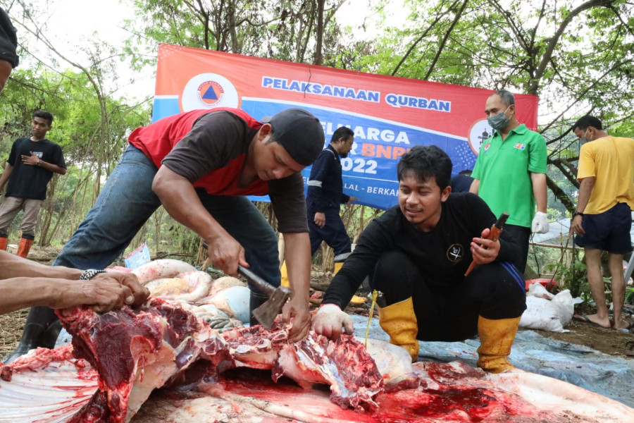 BNPB melakukan pemotongan hewan kurban pada Senin (11/7) di Bekasi, Jawa Barat dan UPT BNPB di Padang, Sumatera Barat.