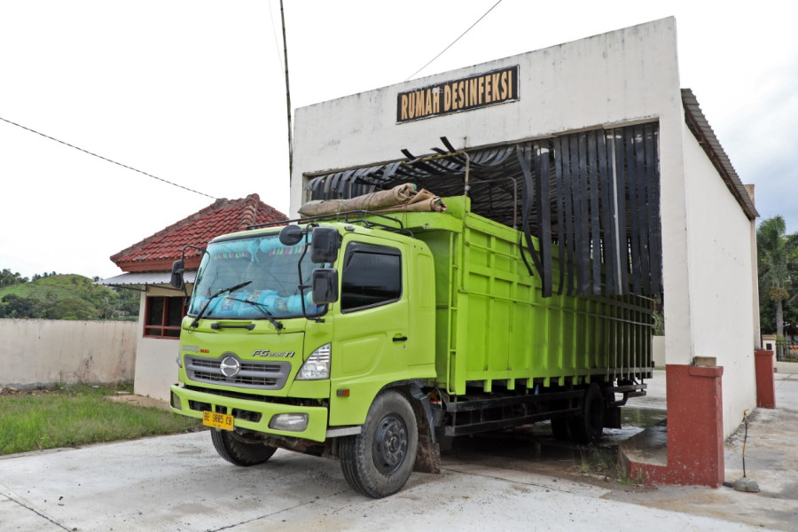 Petugas Balai Karantina Pertanian Kelas I Wilker Bakauheni memandu proses disinfeksi biosecurity kendaraan dan hewan ternak sebelum melanjutkan perjalanan sampai ke tujuan untuk mencegah terjadinya penularan penyakit PMK.