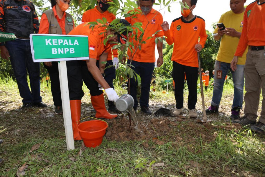 Kepala BNPB Letjen TNI Suharyanto menyiram tanaman usai penanaman bibit pohon di Kota Balikpapan, Kalimantan Timur, Jumat (14/10).