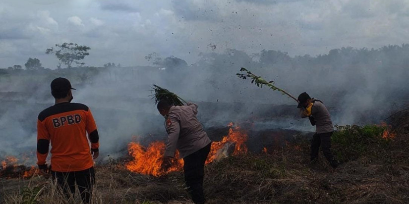 Lima Hektar Lahan di Kalteng Kebakaran, Waspada Awal Musim Kemarau