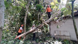 Sebanyak 25 Rumah Warga Kabupaten Grobogan Rusak Akibat Kencang