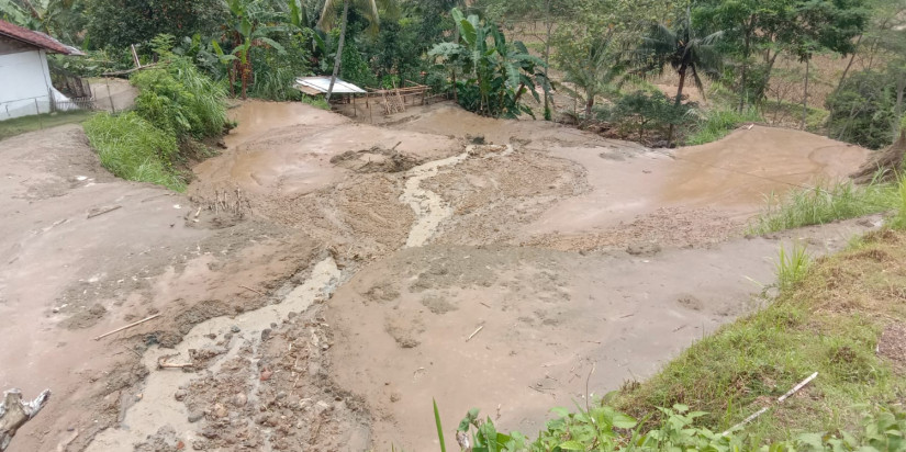 Tanah Longsor di Cilacap Telan 18 Hewan Ternak, Jalan Desa Lumpuh Total