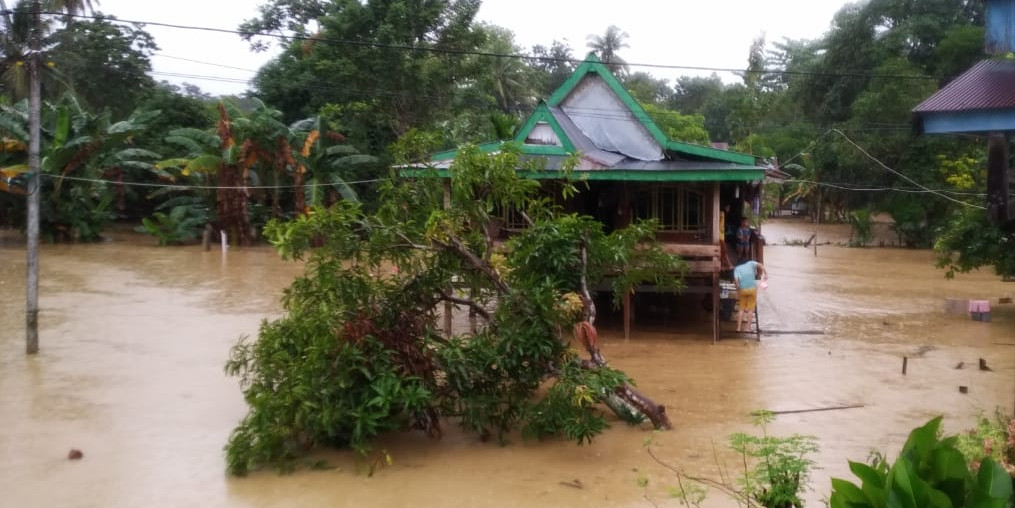 10 Langkah Menilai Kebutuhan dan Rancangan Aksi Daerah Tangguh Bencana