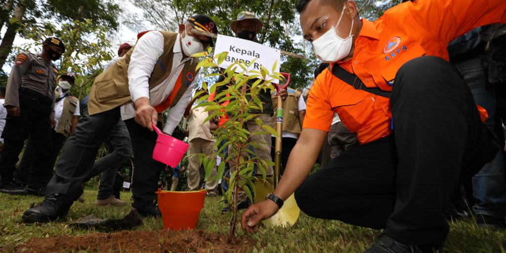 Perkuat Mitigasi Berbasis Vegetasi, Kepala BNPB Bersama Gubernur Maluku Tanam Pohon di Ambon