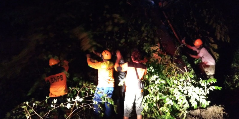 Angin Kencang di Sragen Sebabkan 34 Rumah Rusak Ringan dan Pohon Tumbang