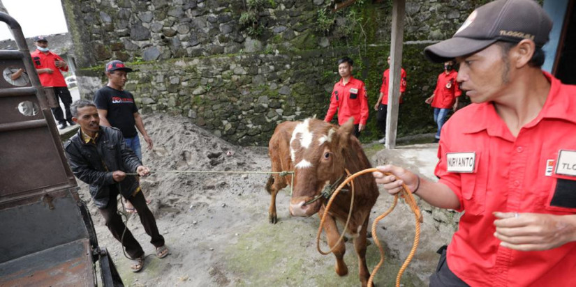 Pertajam Regulasi Mengenai Lalu Lintas Hewan dan Produk Hewan Rentan PMK, Satgas Lakukan Adendum SE 3/2022