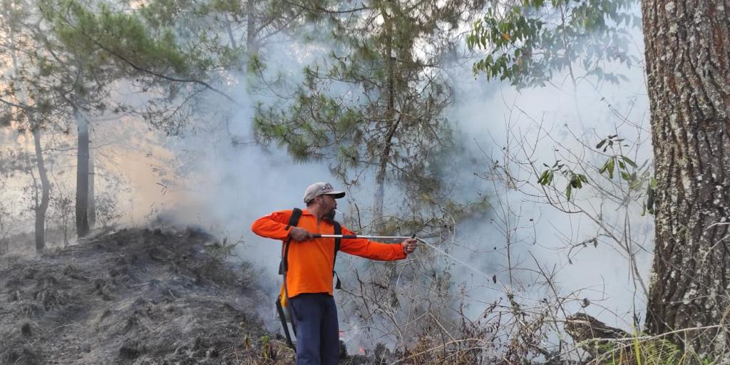 Kebakaran Semak dan Lahan Terjadi di Taman Wisata Alam Gunung Batur Bukit Payang Bangli