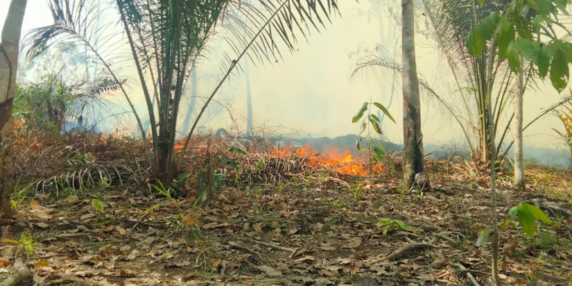 Seluas 16 Hektar Kebakaran Hutan dan Lahan Kabupaten Melawi Berhasil Dipadamkan