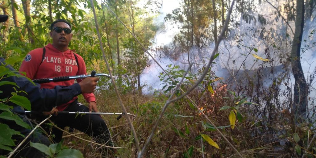 [UPDATE]: Kebakaran Lahan dan Semak Gunung Batur Bangli Berhasil Dipadamkan