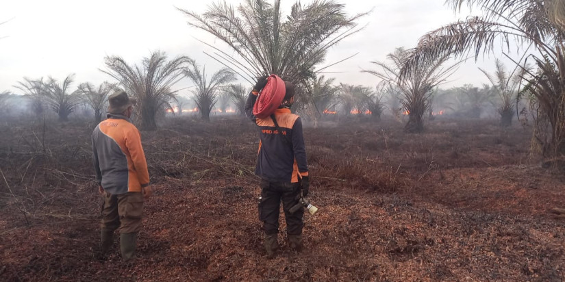 Tim Gabungan Padamkan Kebakaran Lahan di Kotawaringin Barat