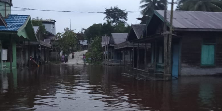 Curah Hujan Tinggi, Dua Kabupaten Wilayah Kalimantan Tengah Dilanda Banjir