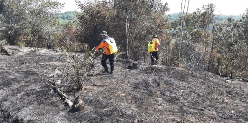 11 Ha Karhutla Kabupaten Kampar Padam