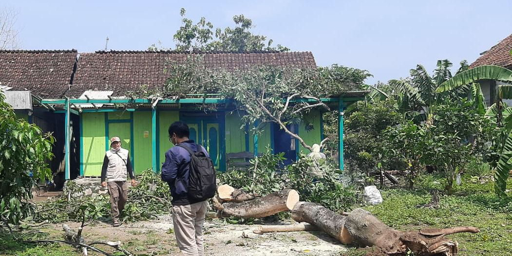 Angin Kencang Sebabkan Rumah Warga Blora Tertimpa Pohon Tumbang