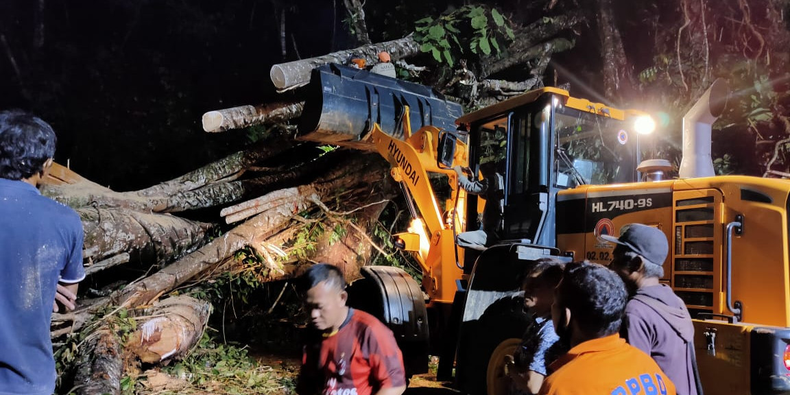 Angin Kencang Picu Pohon Tumbang, Dua Warga Meninggal Dunia