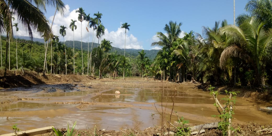 Banjir Bandang Padang Lawas Sisakan Material Lumpur