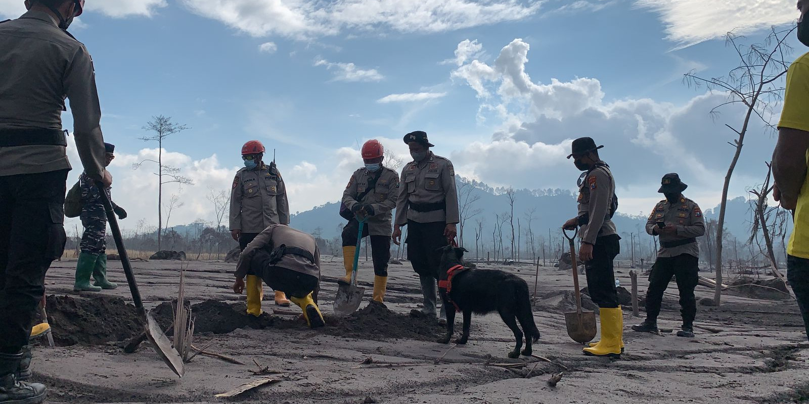 [Update] - Hari Kelima Paska Erupsi Semeru, Tim Gabungan Temukan Total 43 Korban Meninggal Dunia