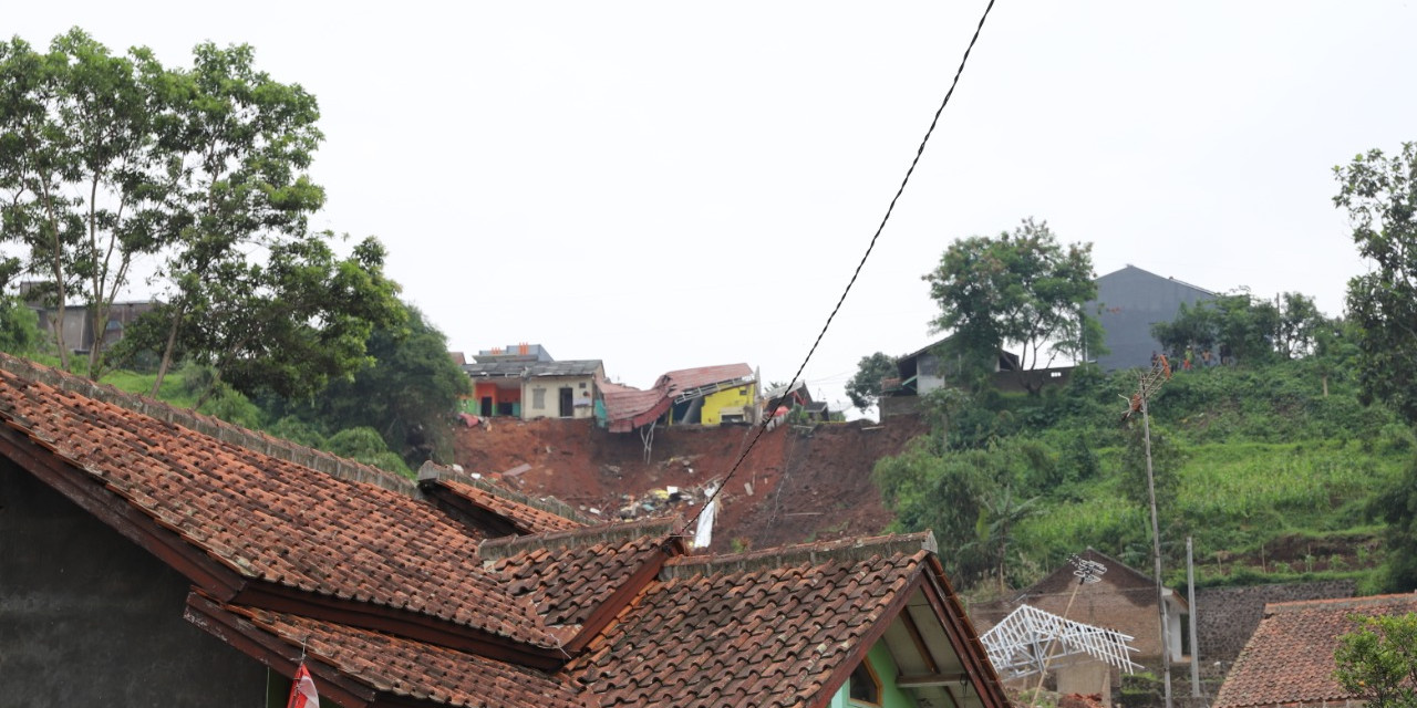 Upaya Cegah Longsor, Ka BNPB: Menanam Pohon di Kemiringan adalah Kewajiban