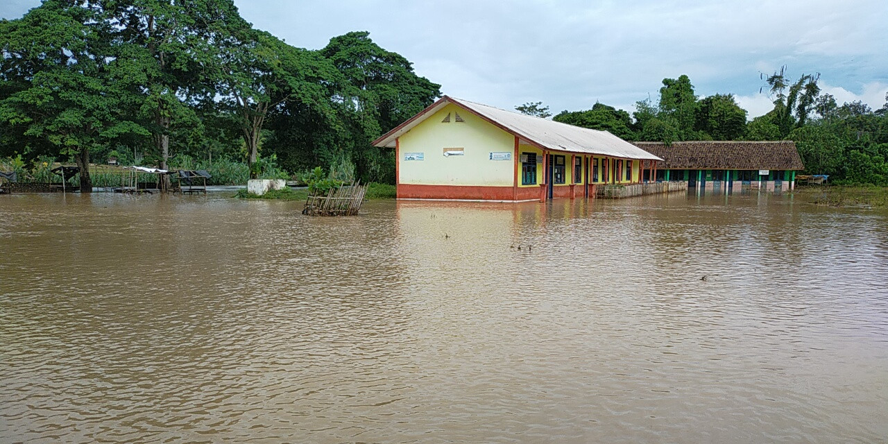 Banjir di Oku Selatan, Sawah Seluas 3,5 Hektar Terancam Gagal Panen