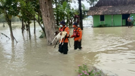 Banjir Kepung 218 Rumah di Grobogan, BPBD Bantu Evakuasi Warga Hingga Bagikan Nasi Bungkus