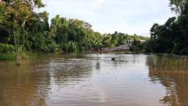 Banjir Rendam 5.208 Rumah Warga Kutai Kartanegara