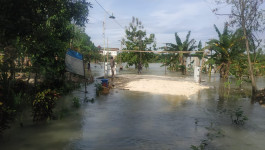 Banjir di Pantura Jawa Tengah Masih Bertahan
