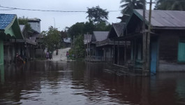 Curah Hujan Tinggi, Dua Kabupaten Wilayah Kalimantan Tengah Dilanda Banjir