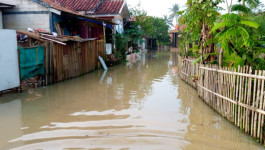 Banjir di Kabupaten Karawang Berdampak Pada 321 Jiwa