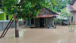 Sebanyak 535 Rumah Warga Kabupaten Pesawaran Terdampak Banjir