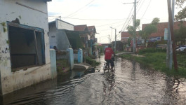 Banjir yang Rendam 100 Rumah Warga Pekalongan Berangsur Surut