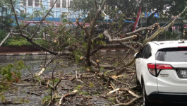 Angin Kencang Terjang Kota Malang, Empat Luka-luka