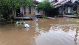 Sebanyak 8.544 Jiwa Terdampak Banjir di Kota Palangkaraya