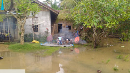 Hujan Lebat Terjang Kota Langsa, Ribuan Rumah Terendam Banjir