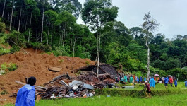 Tiga Orang Meninggal Dunia Terdampak Tanah Longsor di Kabupaten Pesisir Barat