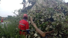 Angin Kencang Terjang Wilayah Sleman dan Bantul, Berikut Kerusakannya