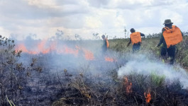 Sebanyak 7,5 Hektar Lahan di Kabupaten Sukamara Kebakaran