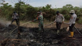 Lahan Seluas 27 Hektar Terbakar di Rokan Hilir