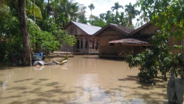 Aceh Utara Banjir, Sawah Seluas 230 Hektar Terancam Gagal Panen