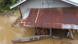 Sejumlah Desa Terdampak Banjir di Kabupaten Kapuas Hulu