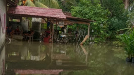 Banjir Satu Desa di Luwu Utara Surut