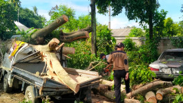 Rumah Warga Kota Bogor dan Tempat Usaha Rusak Akibat Angin Kencang