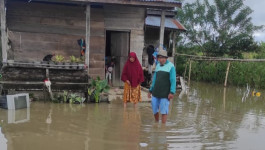 Banjir di Kabupaten Poso Telah Surut, Warga Diimbau Tetap Waspada