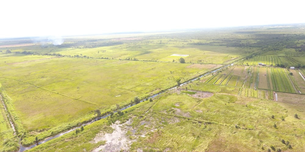 Padam Total, Satgas Darat Lakukan Pengecekan Lapangan Paska Karhutla Kabupaten Tapin