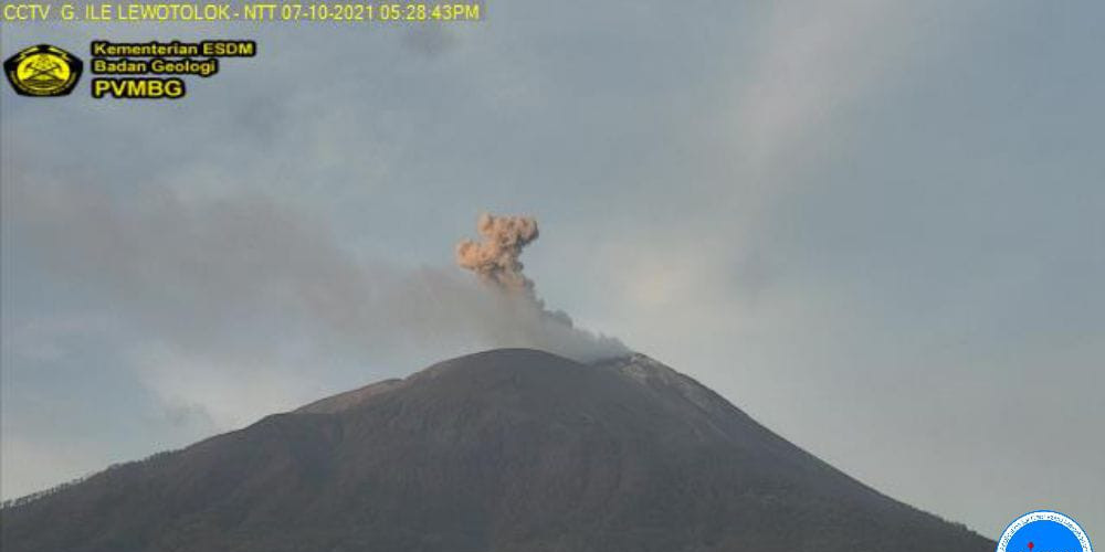 Erupsi Ile Lewotolok Terjadi Hingga 26 Kali Sehari