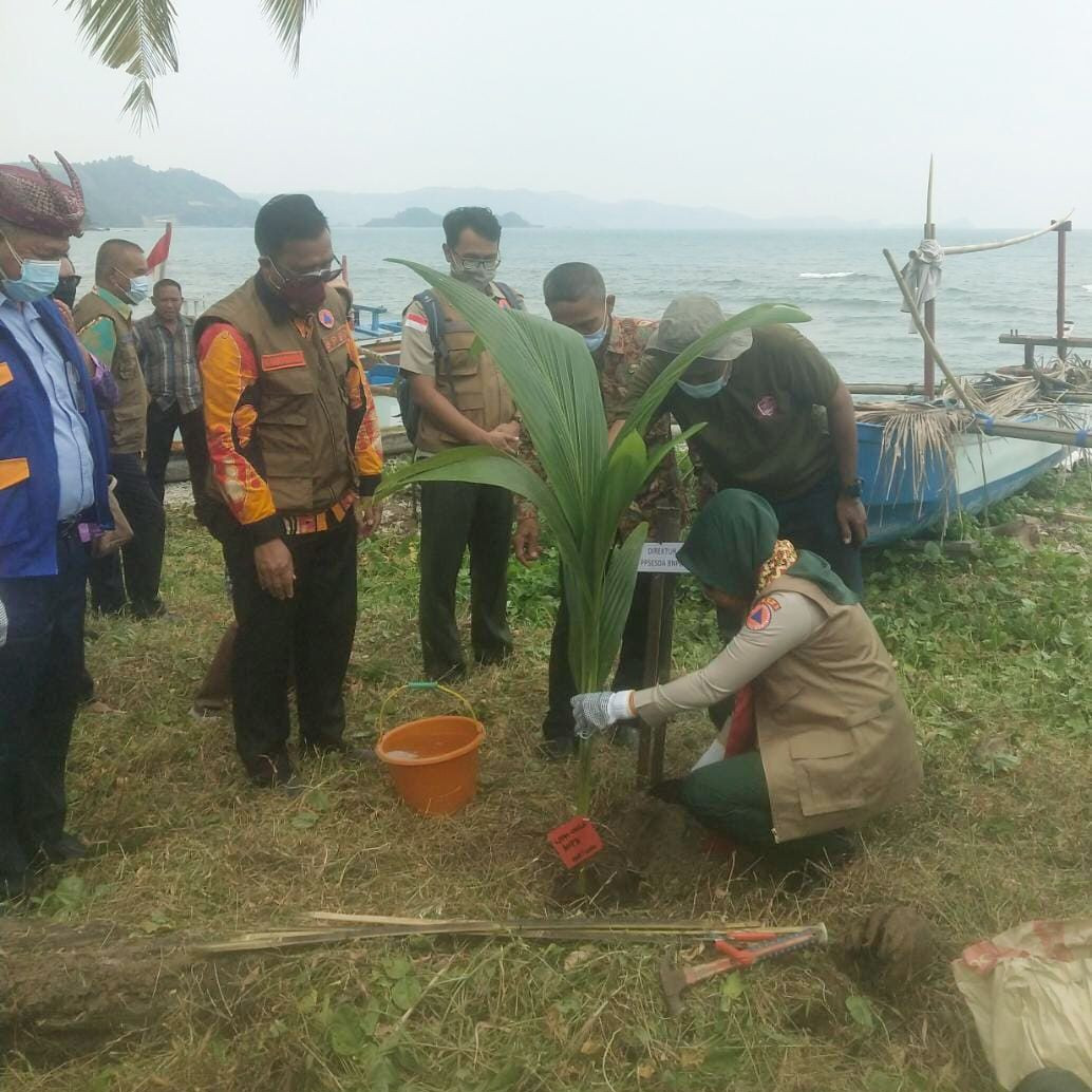 Pemulihan Pascabencana Lampung Selatan, BNPB Kerja sama dengan Unila Tanam Terumbu Karang dan Pohon untuk Mitigasi Berbasis Ekosistem