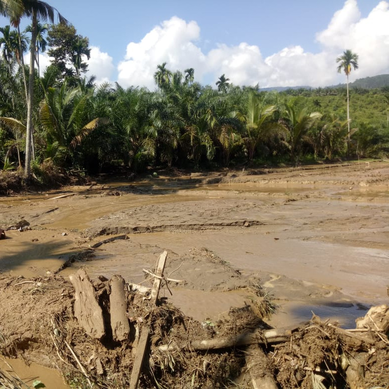 Banjir Bandang Padang Lawas Sisakan Material Lumpur