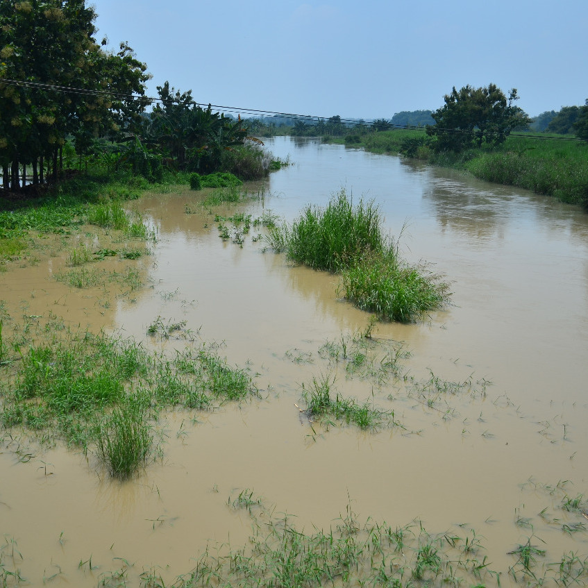 Kali Lamong Meluap, Sembilan Desa di Gresik Terendam Banjir