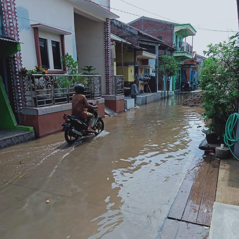 Banjir Rob Terjang Ribuan Rumah di Kota Semarang