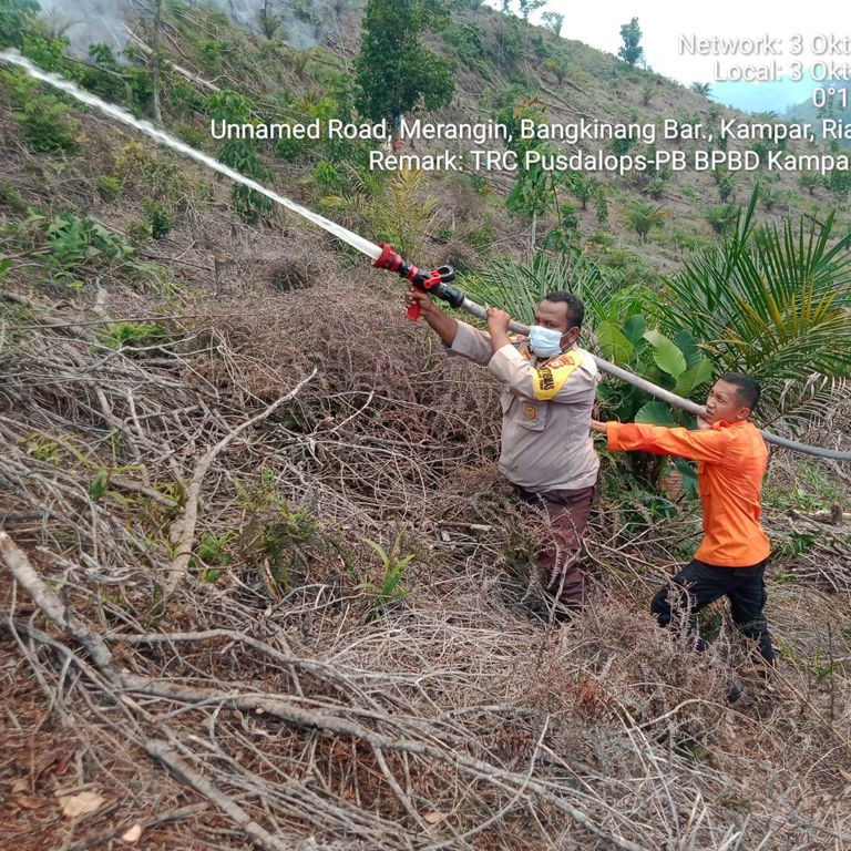 Tim Reaksi Cepat Berhasil Padamkan Kebakaran Lahan di Kampar