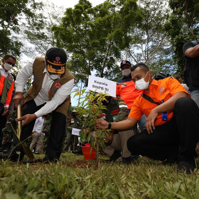 Perkuat Mitigasi Berbasis Vegetasi, Kepala BNPB Bersama Gubernur Maluku Tanam Pohon di Ambon