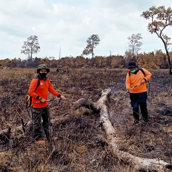 Karhutla Desa Sungai Tabuk Seluas 55,61 Ha Berhasil Dipadamkan